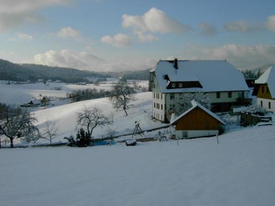 Fehrenbacherhof Naturgaestehaus ラウターバッハ エクステリア 写真