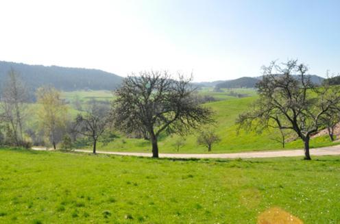 Fehrenbacherhof Naturgaestehaus ラウターバッハ エクステリア 写真